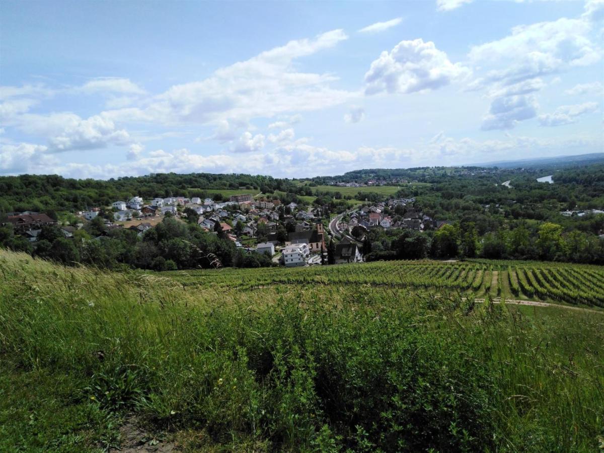 Ferienwohnung Wisser- Fernblick Bad Bellingen Kültér fotó